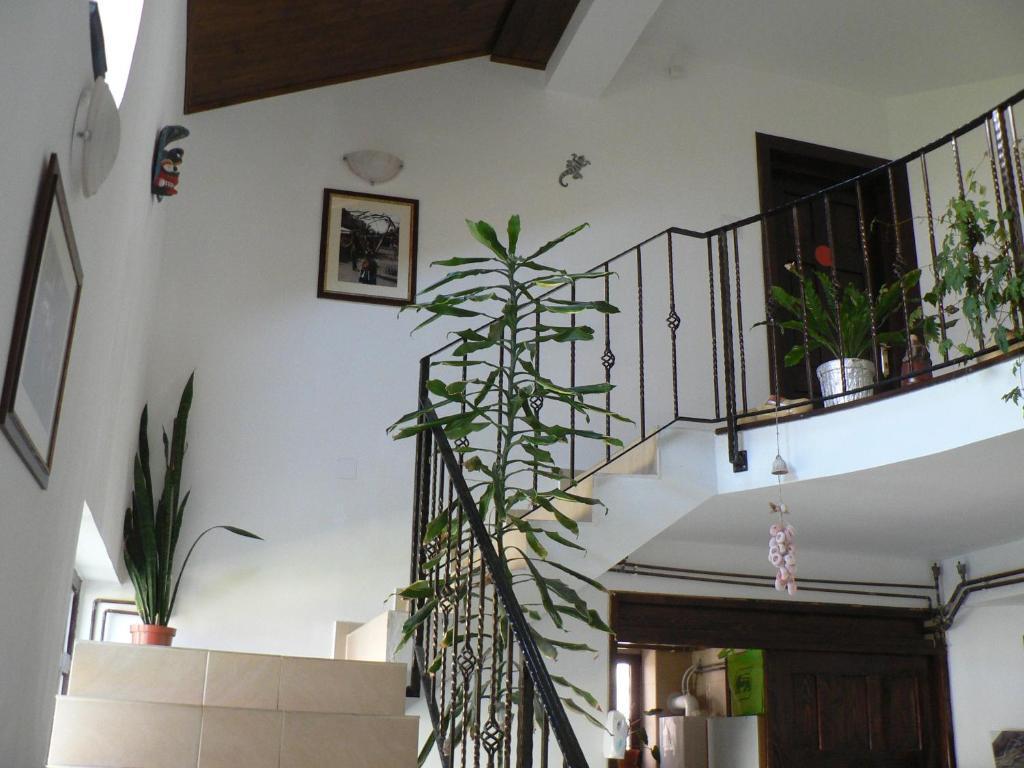 Casa Havana (Adults Only) คอสติเนช ภายนอก รูปภาพ