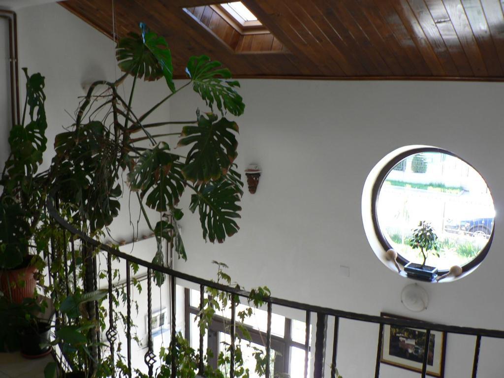 Casa Havana (Adults Only) คอสติเนช ภายนอก รูปภาพ