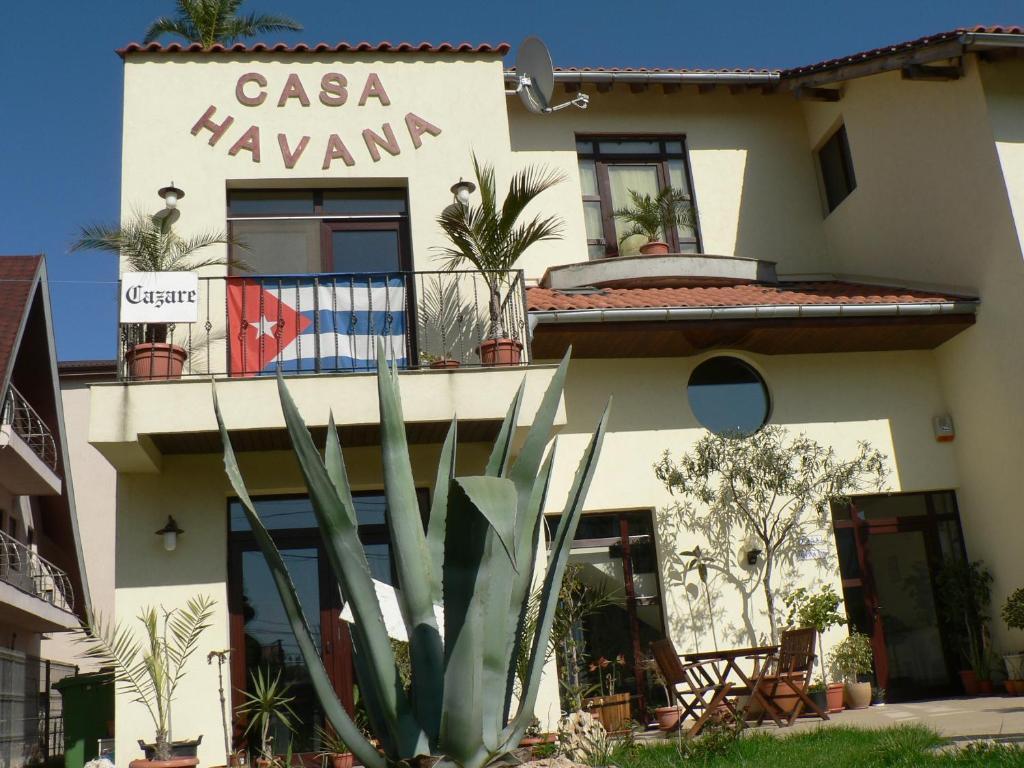 Casa Havana (Adults Only) คอสติเนช ภายนอก รูปภาพ