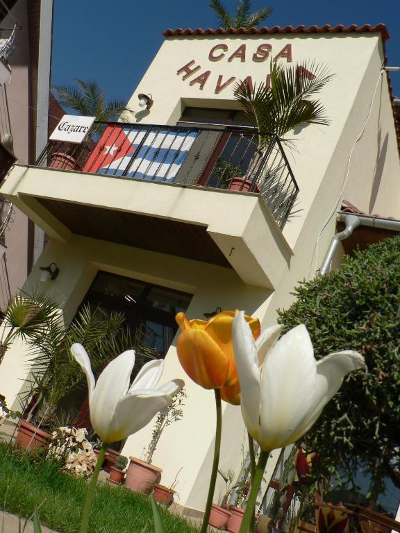 Casa Havana (Adults Only) คอสติเนช ภายนอก รูปภาพ