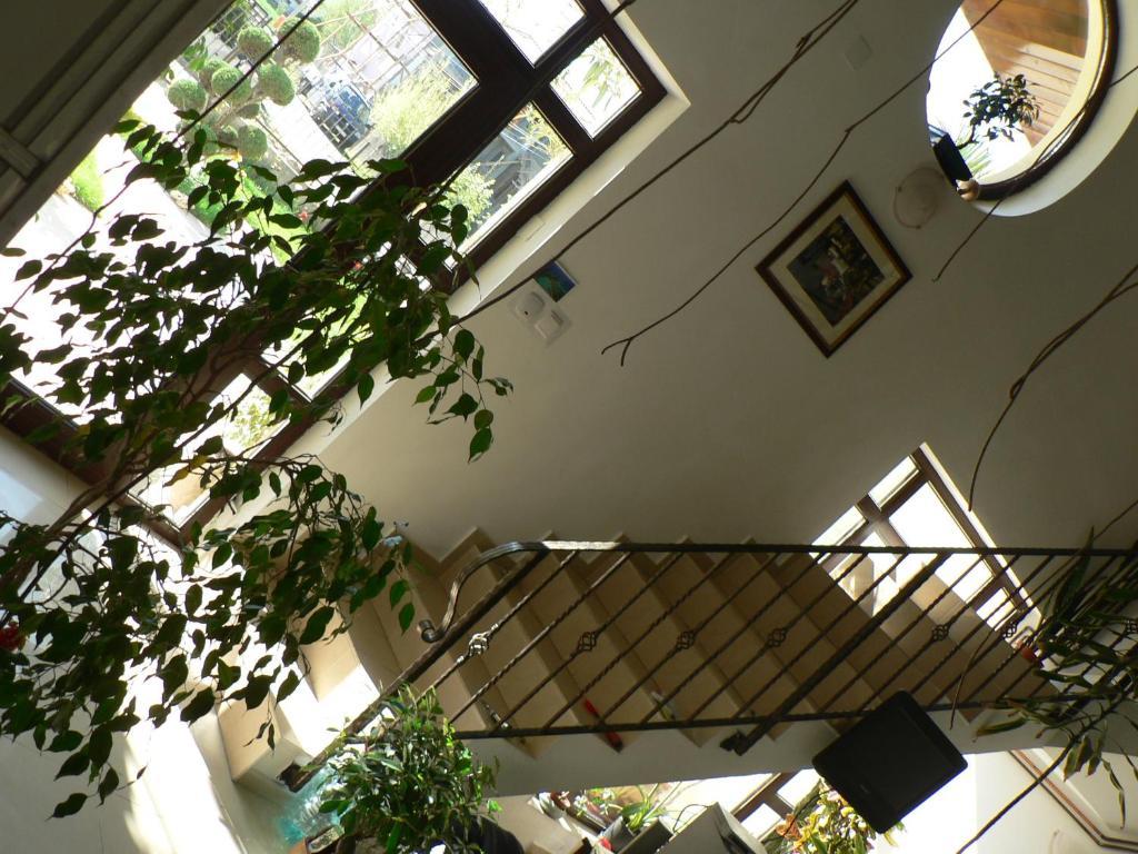 Casa Havana (Adults Only) คอสติเนช ภายนอก รูปภาพ