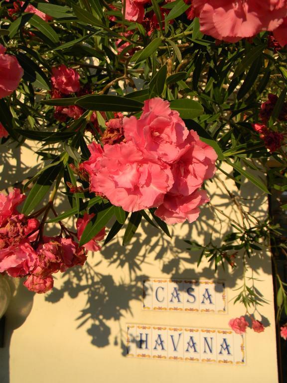 Casa Havana (Adults Only) คอสติเนช ภายนอก รูปภาพ